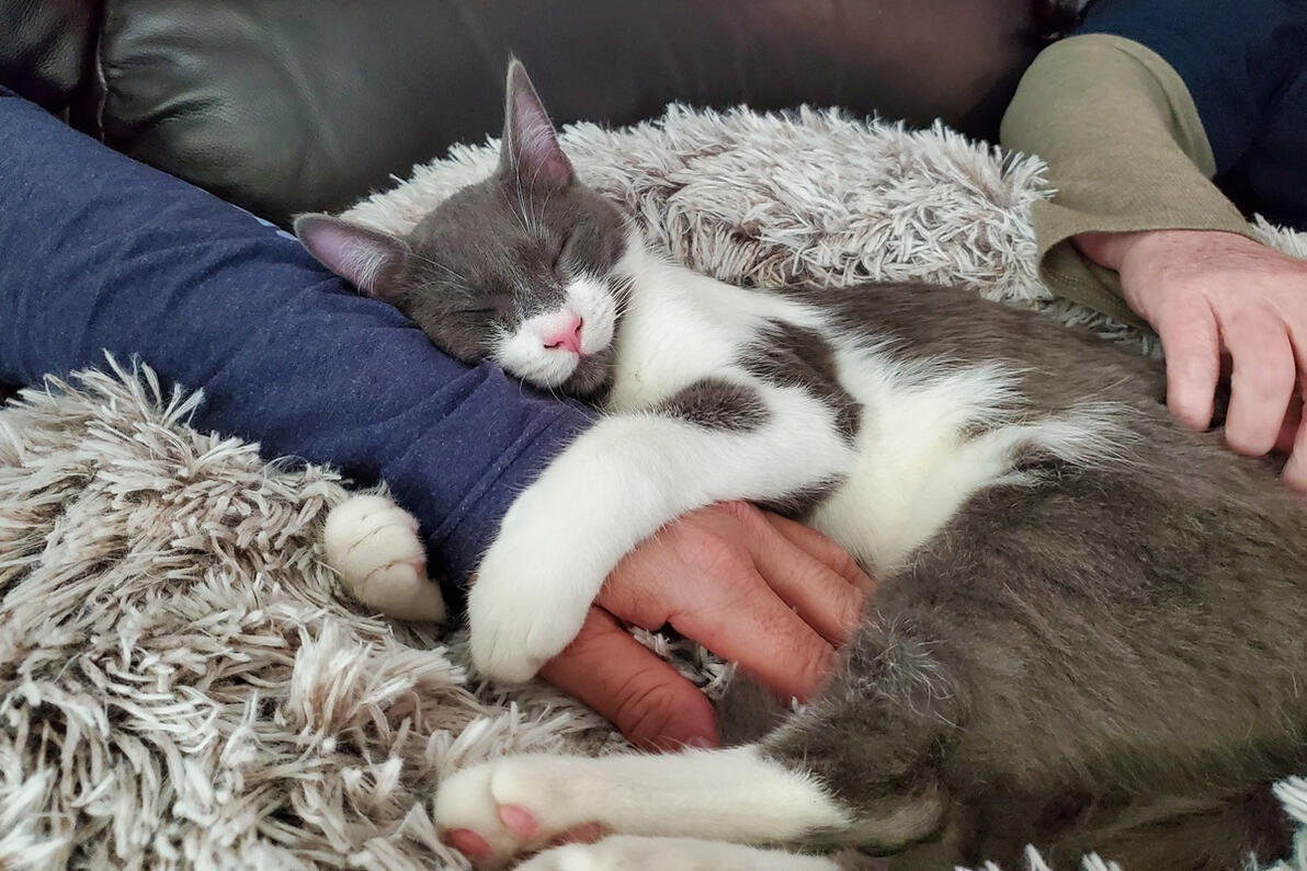 Joey snuggling Joey snuggling