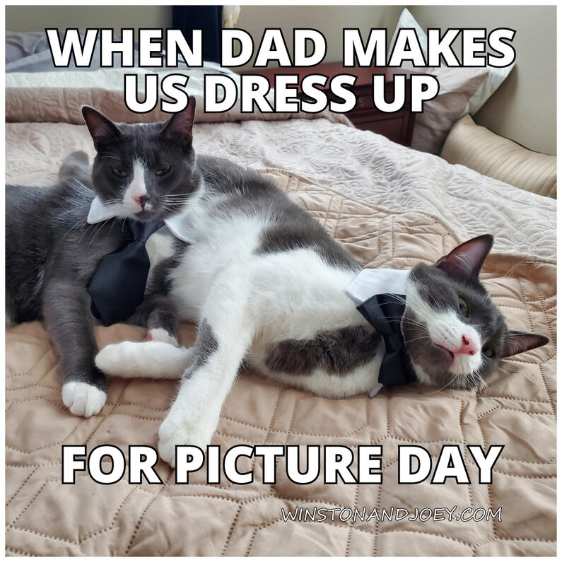 Picture Day Picture Day