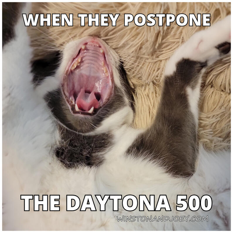 Daytona 500 Daytona 500