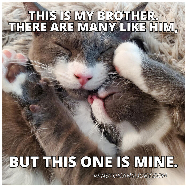 This Is My Brother This Is My Brother