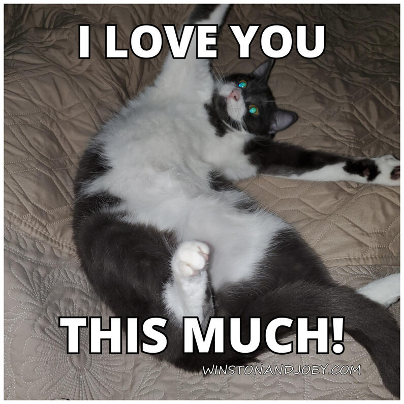 I Love You This Much I Love You This Much