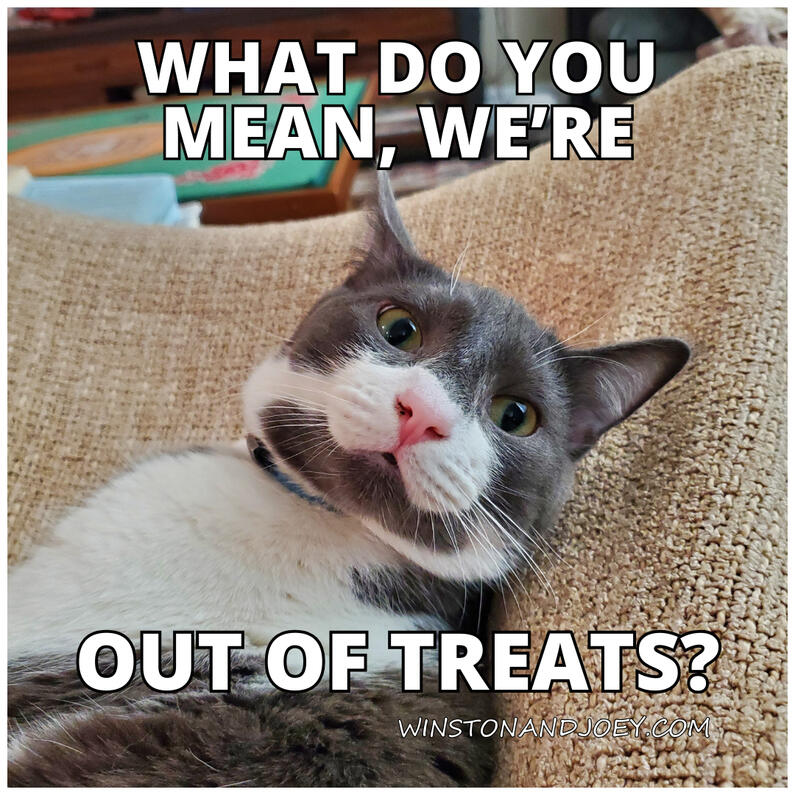 Out of Treats Out of Treats
