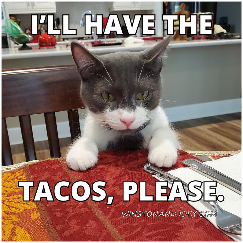 I'll Have the Tacos I'll Have the Tacos