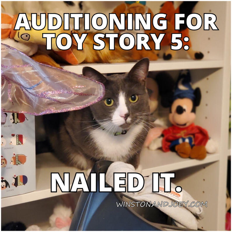 Nailed It Nailed It
