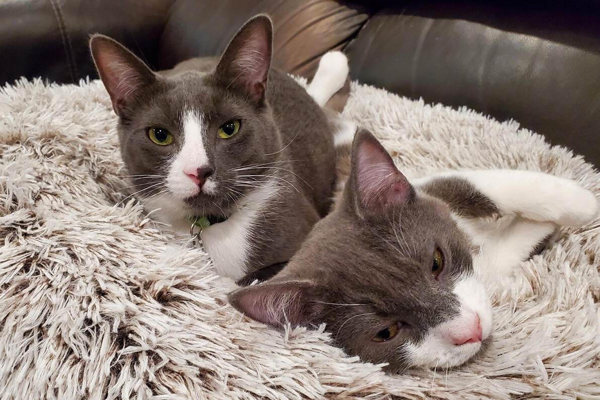 Winston and Joey getting cozy Winston and Joey getting cozy