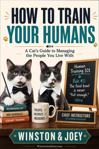 How To Train Your Humans by Winston & Joey How To Train Your Humans by Winston & Joey