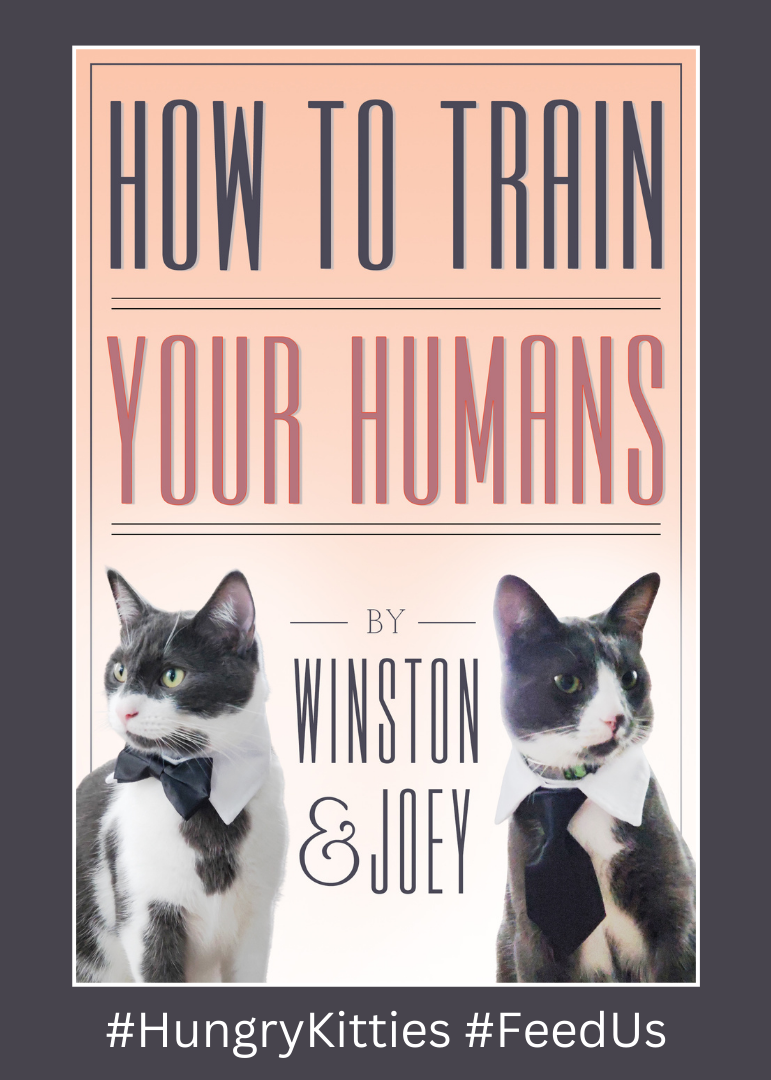 How To Train Your Humans - Hungry Kitties Ad