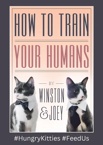 hungry kitties how to train your humans funny cat book